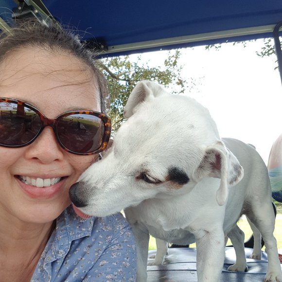 Meet your Posher, Beatrice - Picture 8 of 12